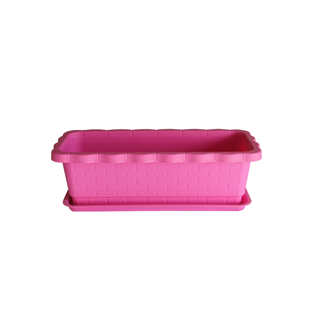 G1 Flower Box (New/ပန်း)