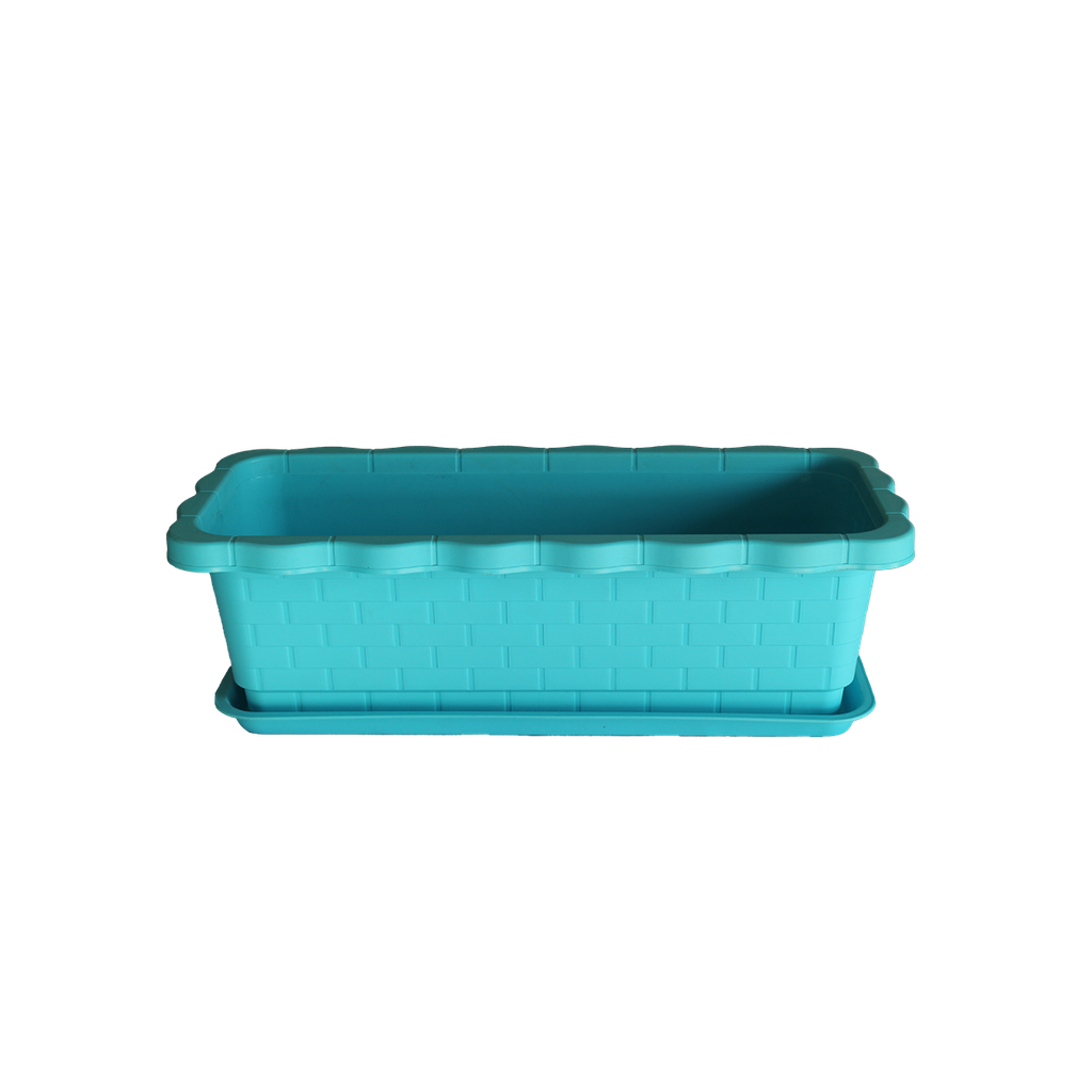 G1 Flower Box (New/ပြာ)