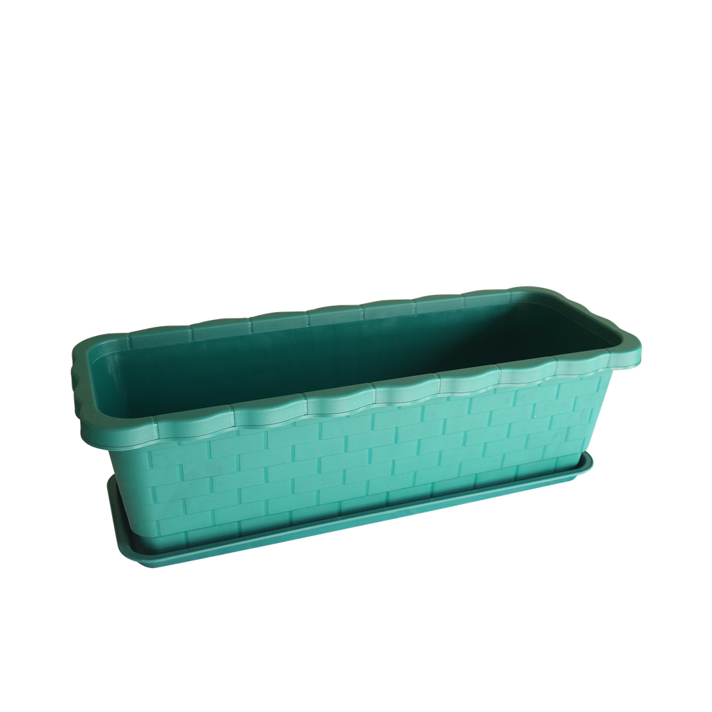 G3 Flower Box (စိမ်း)