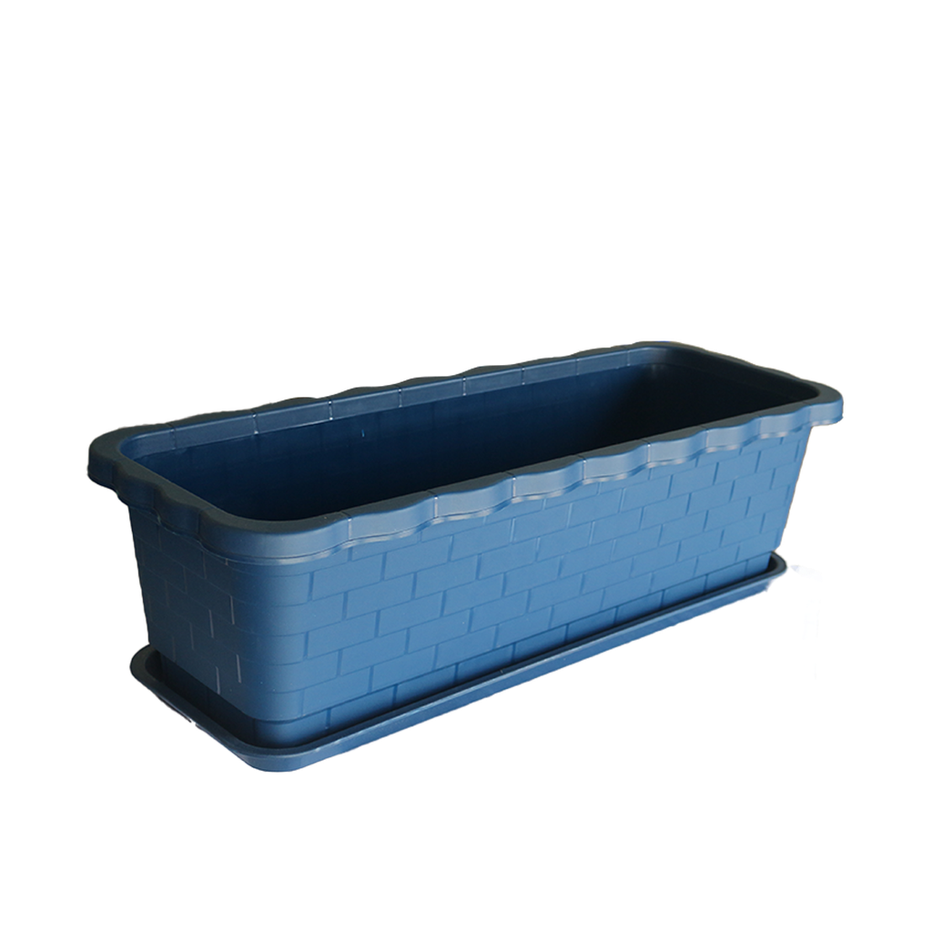 G4 Flower Box (ပြာ)