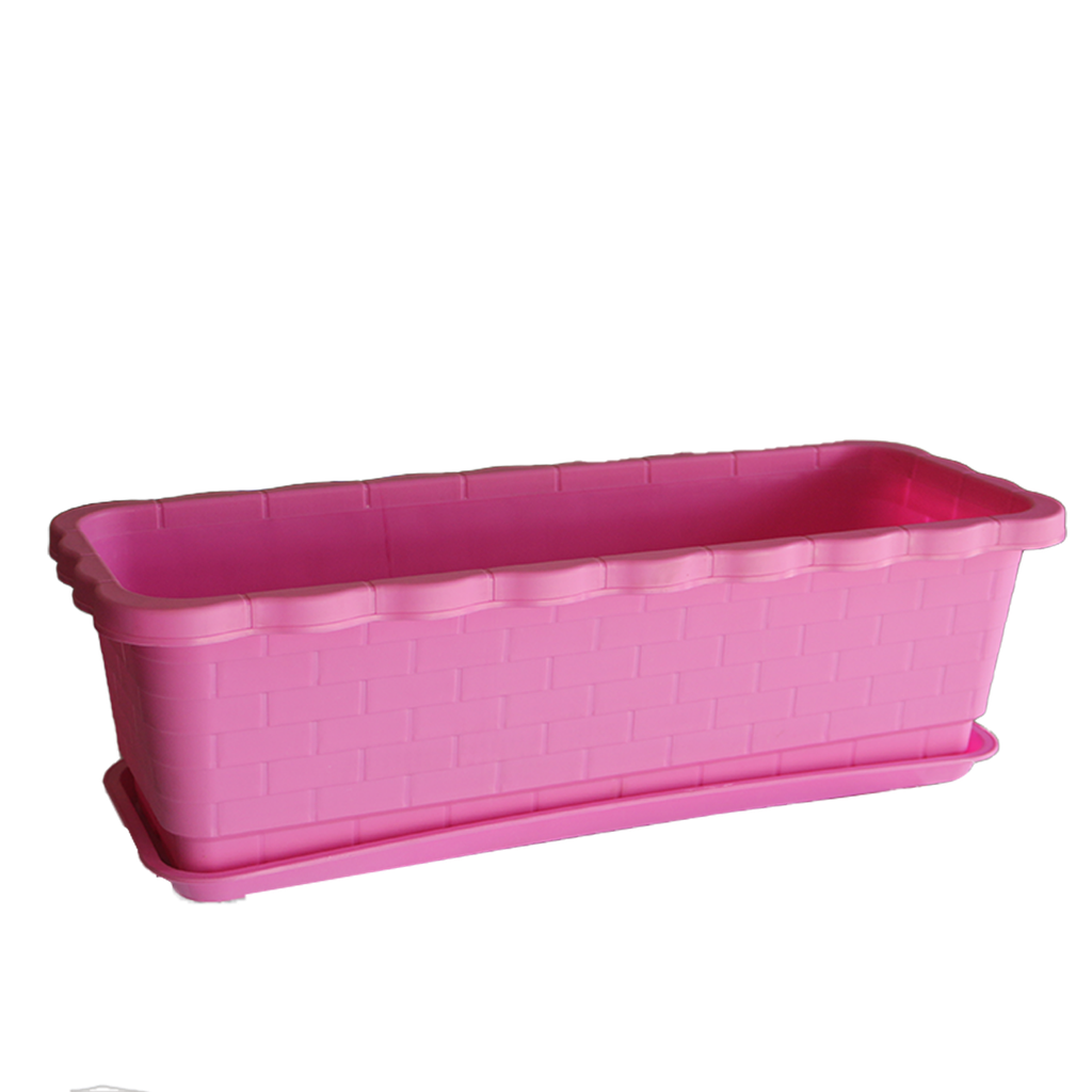 G5 Flower Box (New/ပန်း)