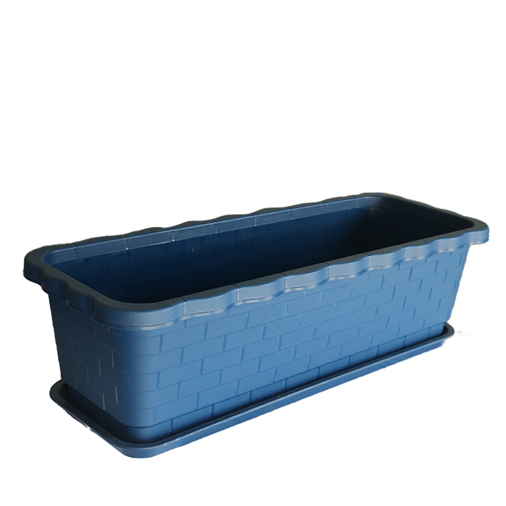 G5 Flower Box (ပြာ)
