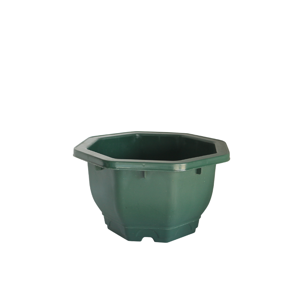 Y1 (8L) ပန်းအိုး (စိမ်း)