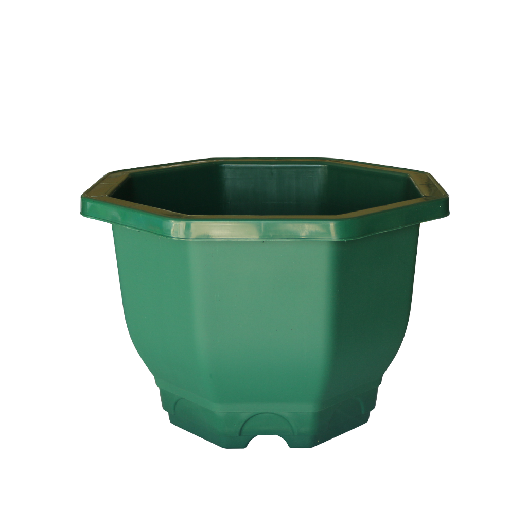 Y5 (8L) ပန်းအိုး (စိမ်း)